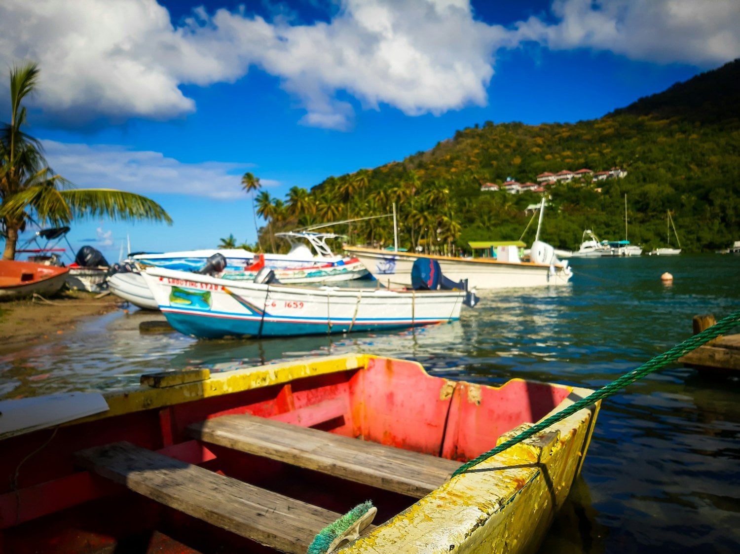Saint Lucia sailing — photo 1