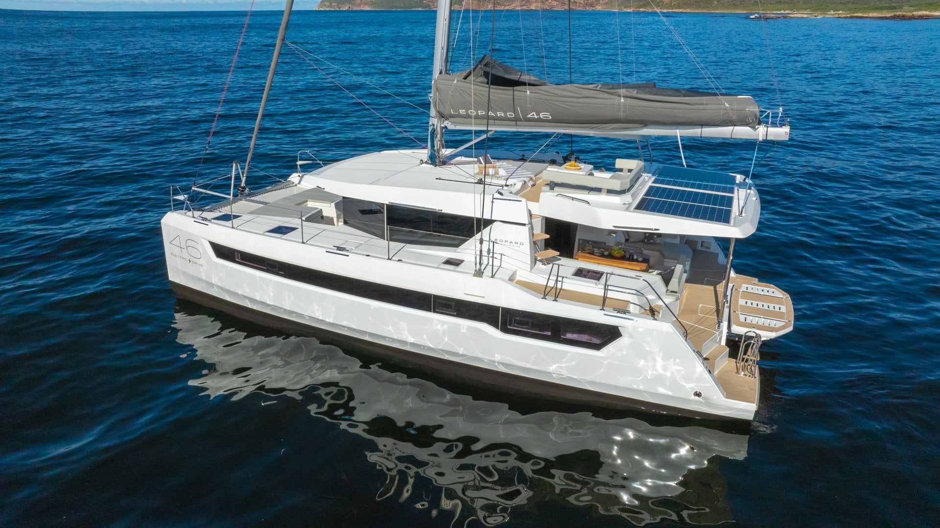 Leopard 46
